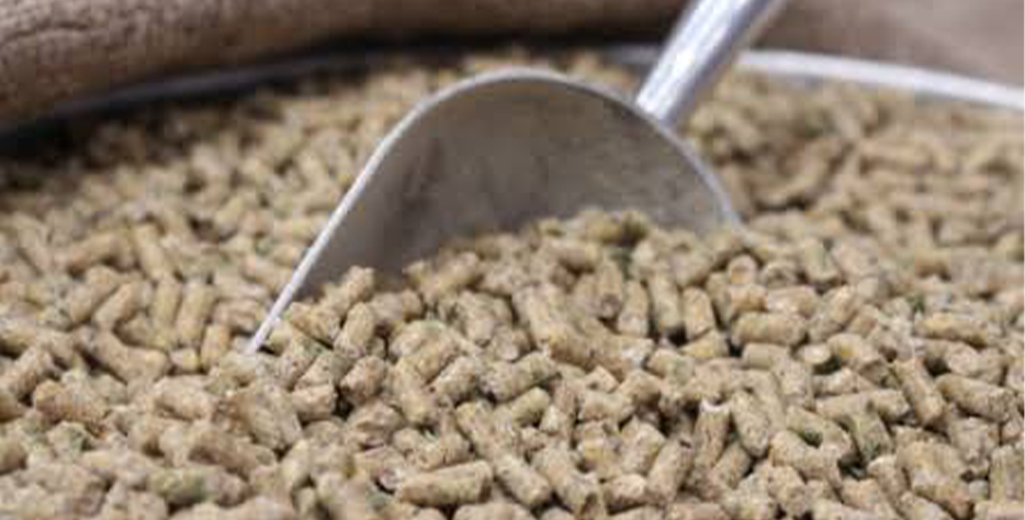 High-quality feed pellets formulated for fish, poultry, and livestock, providing a convenient feed format for efficient feeding and production.